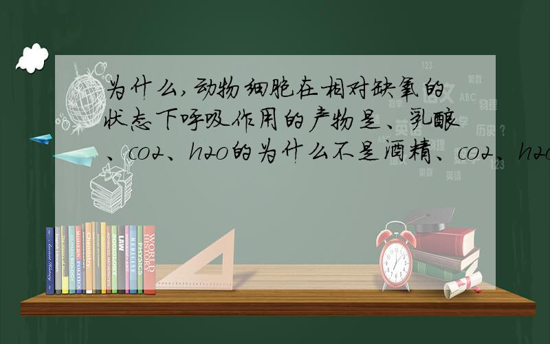 为什么,动物细胞在相对缺氧的状态下呼吸作用的产物是、乳酸、co2、h2o的为什么不是酒精、co2、h2o