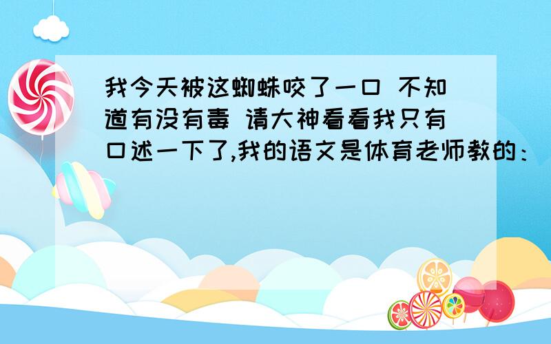 我今天被这蜘蛛咬了一口 不知道有没有毒 请大神看看我只有口述一下了,我的语文是体育老师教的： 那蜘蛛的背上是绿色的,像一片叶子比一只苍蝇稍微大了一点