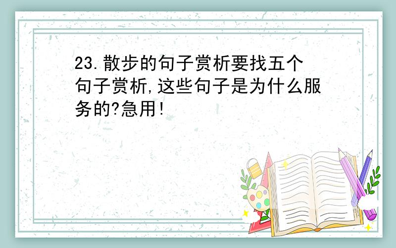 23.散步的句子赏析要找五个句子赏析,这些句子是为什么服务的?急用!