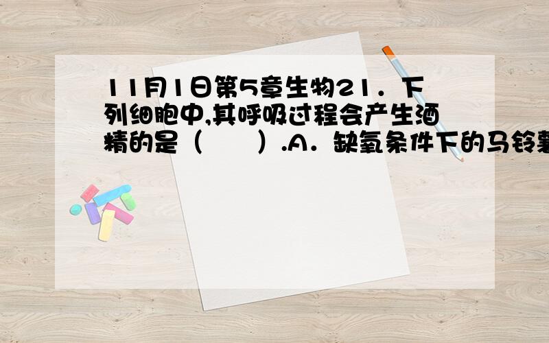 11月1日第5章生物21．下列细胞中,其呼吸过程会产生酒精的是（　　）.A．缺氧条件下的马铃薯块茎细胞            B．剧烈运动时的人骨骼肌细胞C．酸奶生产中的乳酸菌                          D．