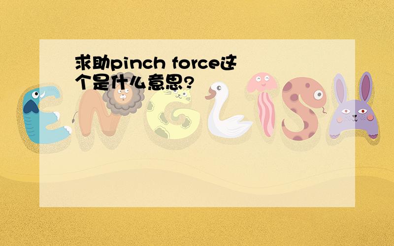 求助pinch force这个是什么意思?