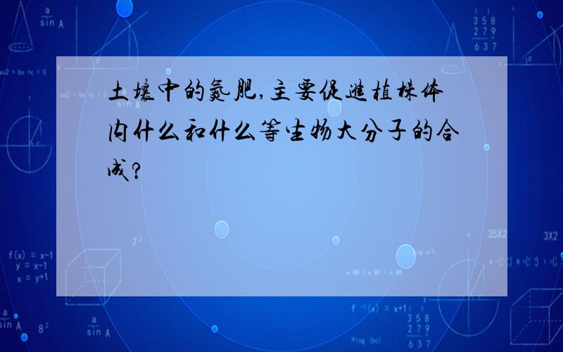 土壤中的氮肥,主要促进植株体内什么和什么等生物大分子的合成?