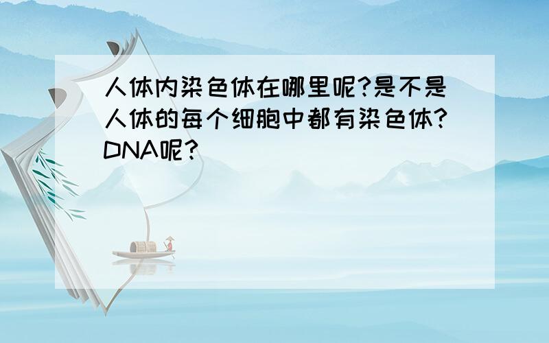 人体内染色体在哪里呢?是不是人体的每个细胞中都有染色体?DNA呢?