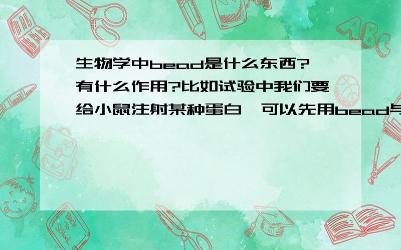 生物学中bead是什么东西?有什么作用?比如试验中我们要给小鼠注射某种蛋白,可以先用bead与蛋白质混匀再注射.