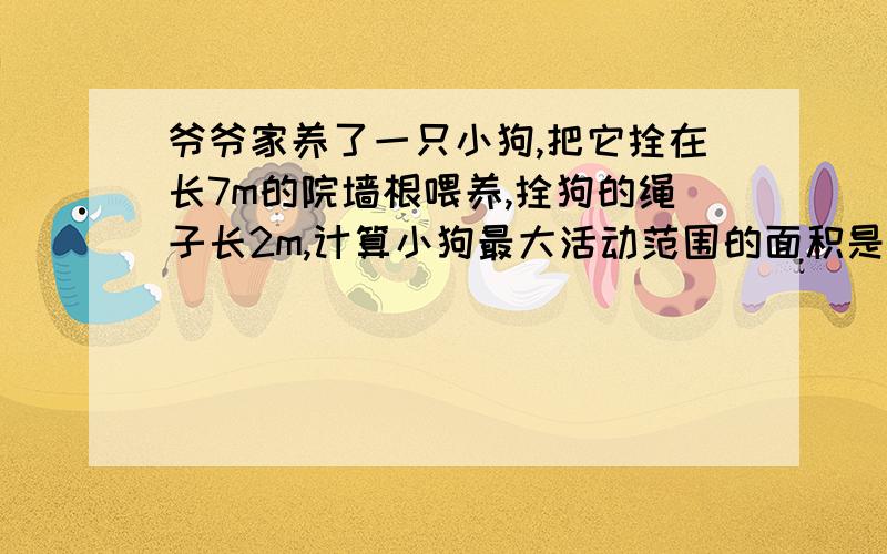 爷爷家养了一只小狗,把它拴在长7m的院墙根喂养,拴狗的绳子长2m,计算小狗最大活动范围的面积是多少?