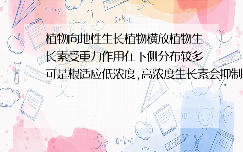 植物向地性生长植物横放植物生长素受重力作用在下侧分布较多可是根适应低浓度,高浓度生长素会抑制生长根为什么不向上生长呢?