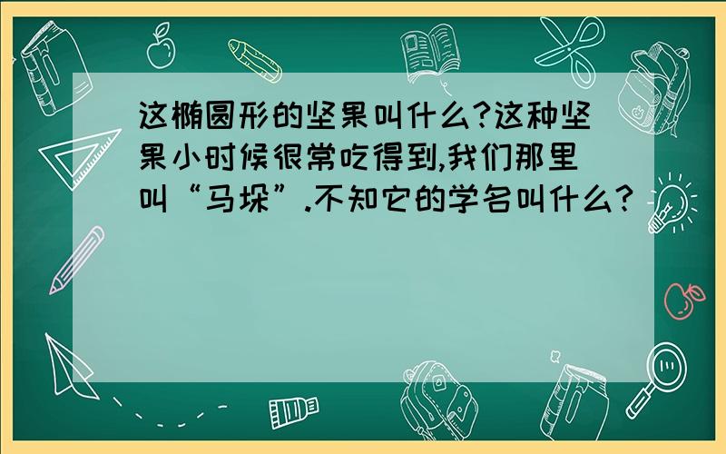 这椭圆形的坚果叫什么?这种坚果小时候很常吃得到,我们那里叫“马垛”.不知它的学名叫什么?