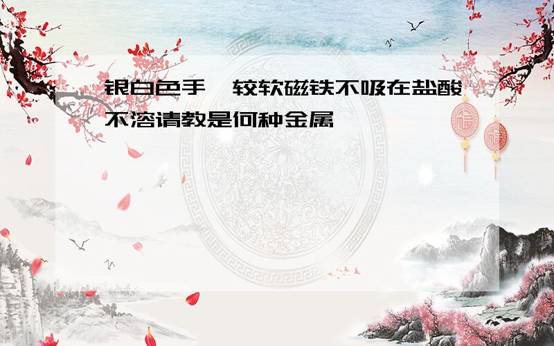 银白色手镯较软磁铁不吸在盐酸不溶请教是何种金属