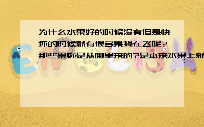 为什么水果好的时候没有但是快坏的时候就有很多果蝇在飞呢?那些果蝇是从哪里来的?是本来水果上就有果蝇蛋吗?那为什么快坏了才孵化出来呢?望知情者赐教.