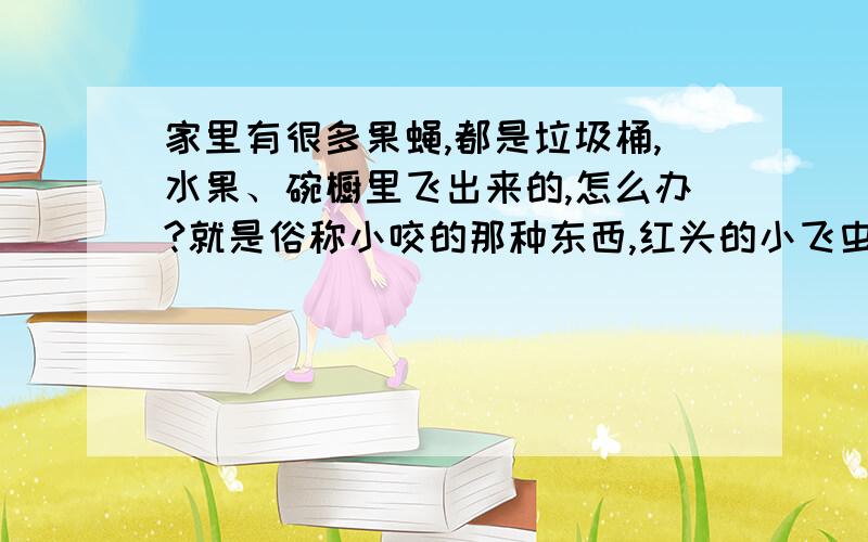 家里有很多果蝇,都是垃圾桶,水果、碗橱里飞出来的,怎么办?就是俗称小咬的那种东西,红头的小飞虫.