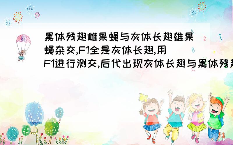 黑体残翅雌果蝇与灰体长翅雄果蝇杂交,F1全是灰体长翅,用F1进行测交,后代出现灰体长翅与黑体残翅的比为1:1.F1雄果蝇产生的配子的基因组成为