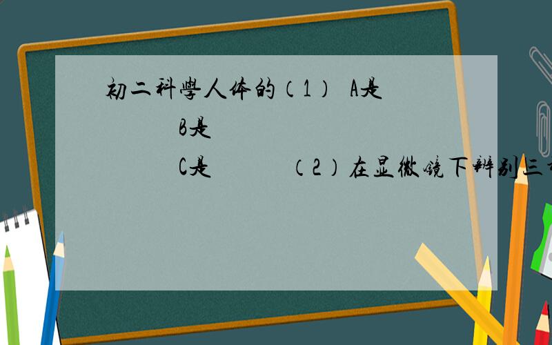 初二科学人体的（1）  A是            B是            C是            （2）在显微镜下辨别三种血管的理由是：动脉内血液由较       的血管流向较     而           的血管；静脉内的血液由      而      的