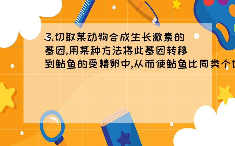 3.切取某动物合成生长激素的基因,用某种方法将此基因转移到鲇鱼的受精卵中,从而使鲇鱼比同类个体大了3~4倍,此项研究遵循的原理是A.基因重组、DNA→蛋白质B.基因工程、DNA→蛋白质C.基因