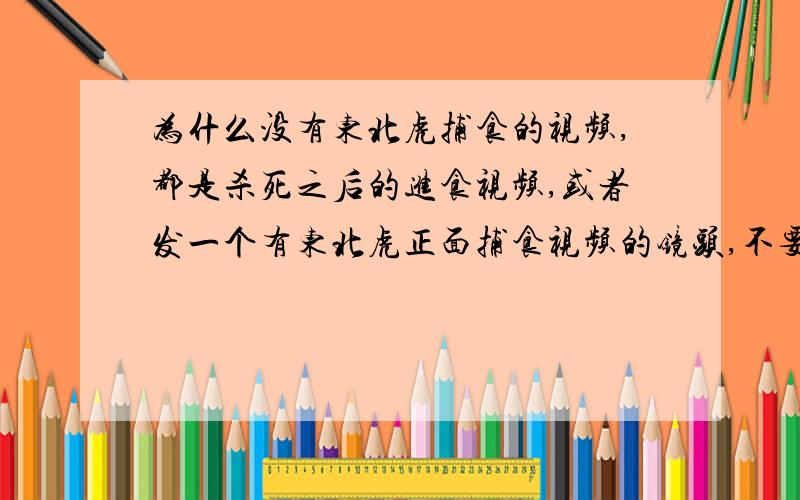 为什么没有东北虎捕食的视频,都是杀死之后的进食视频,或者发一个有东北虎正面捕食视频的镜头,不要猎物死后进食的我是指野生的东北虎