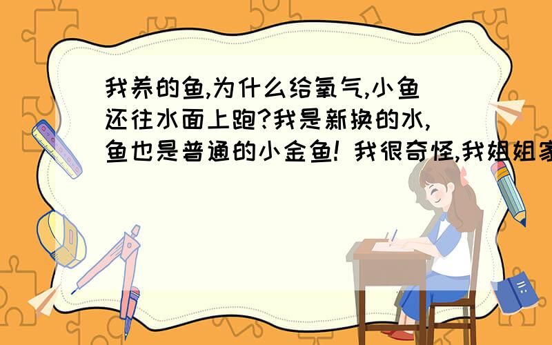 我养的鱼,为什么给氧气,小鱼还往水面上跑?我是新换的水,鱼也是普通的小金鱼! 我很奇怪,我姐姐家养的鱼天天给氧,鱼确实不往水面跑!我也曾试过天天给氧!那东西天天都插着,给氧.但是小鱼