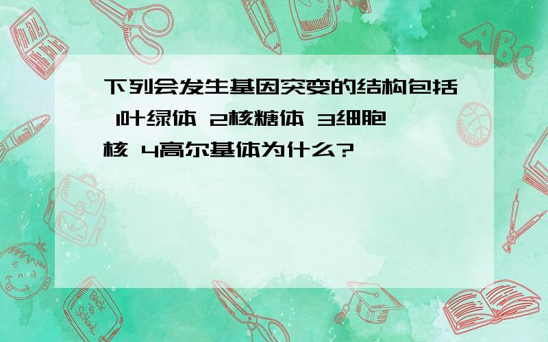 下列会发生基因突变的结构包括 1叶绿体 2核糖体 3细胞核 4高尔基体为什么?