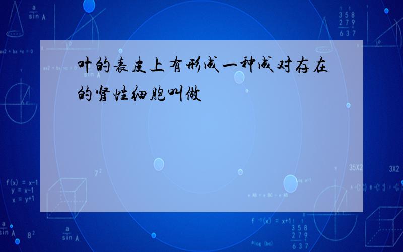 叶的表皮上有形成一种成对存在的肾性细胞叫做