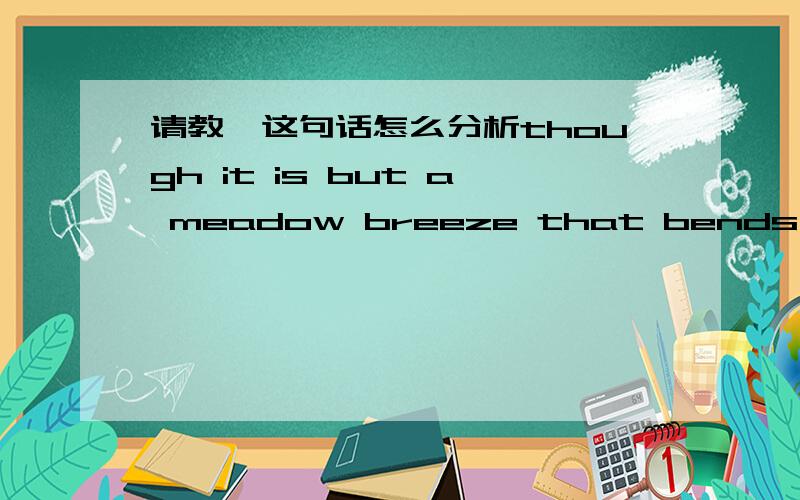 请教,这句话怎么分析though it is but a meadow breeze that bends them or a bank of cowlips from which their trunks lean aslope中的后半句 bank of cowlips from which their trunks lean aslope,which指代什么,