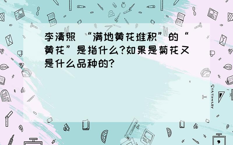 李清照 “满地黄花堆积”的“黄花”是指什么?如果是菊花又是什么品种的?