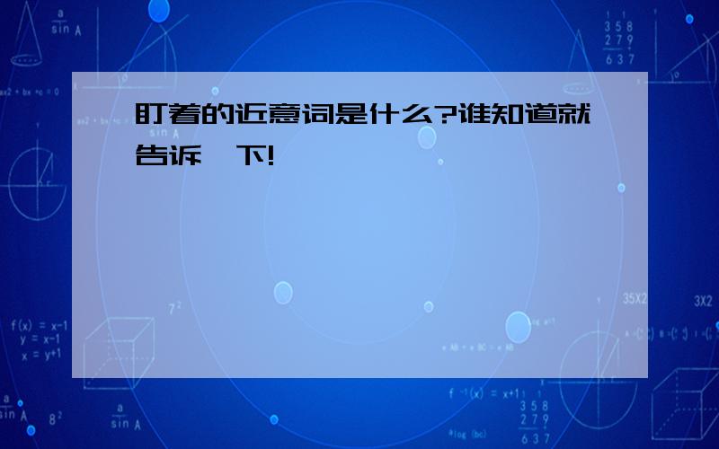 盯着的近意词是什么?谁知道就告诉一下!