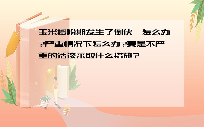 玉米授粉期发生了倒伏,怎么办?严重情况下怎么办?要是不严重的话该采取什么措施?