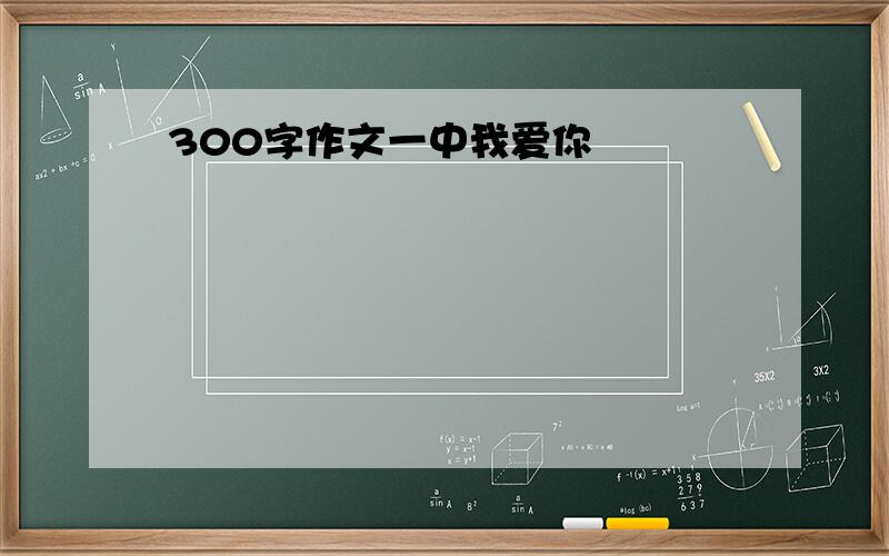 300字作文一中我爱你