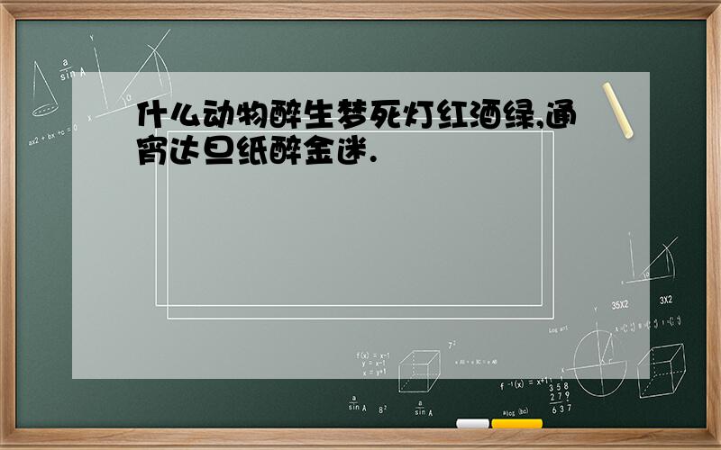 什么动物醉生梦死灯红酒绿,通宵达旦纸醉金迷.