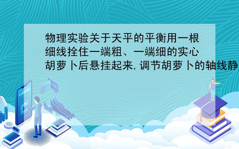 物理实验关于天平的平衡用一根细线拴住一端粗、一端细的实心胡萝卜后悬挂起来,调节胡萝卜的轴线静止在水平位置,此时为什么断定粗的那端重,我们怎么确定这两端（A和B）的重心啊,只有