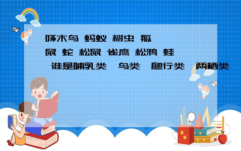 啄木鸟 蚂蚁 树虫 狐 狍 鼠 蛇 松鼠 雀鹰 松鸦 蛙 谁是哺乳类,鸟类,爬行类,两栖类,昆虫类