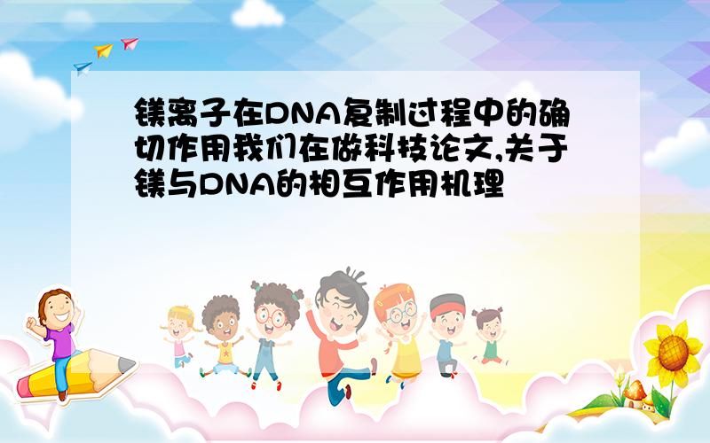 镁离子在DNA复制过程中的确切作用我们在做科技论文,关于镁与DNA的相互作用机理