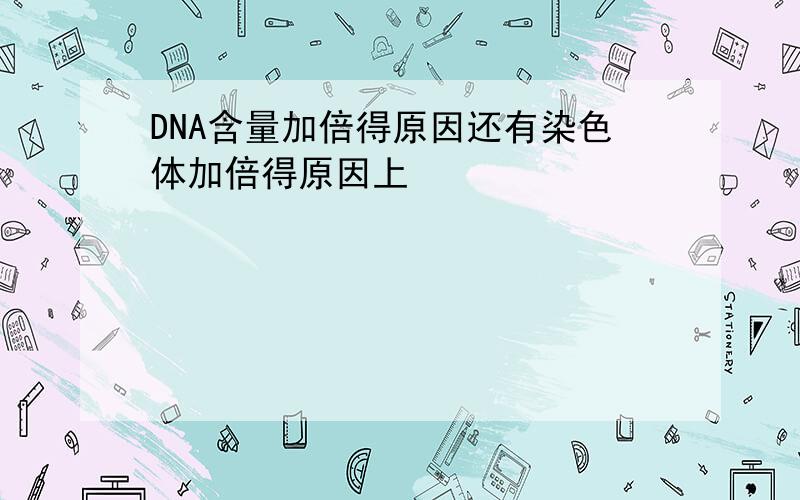 DNA含量加倍得原因还有染色体加倍得原因上