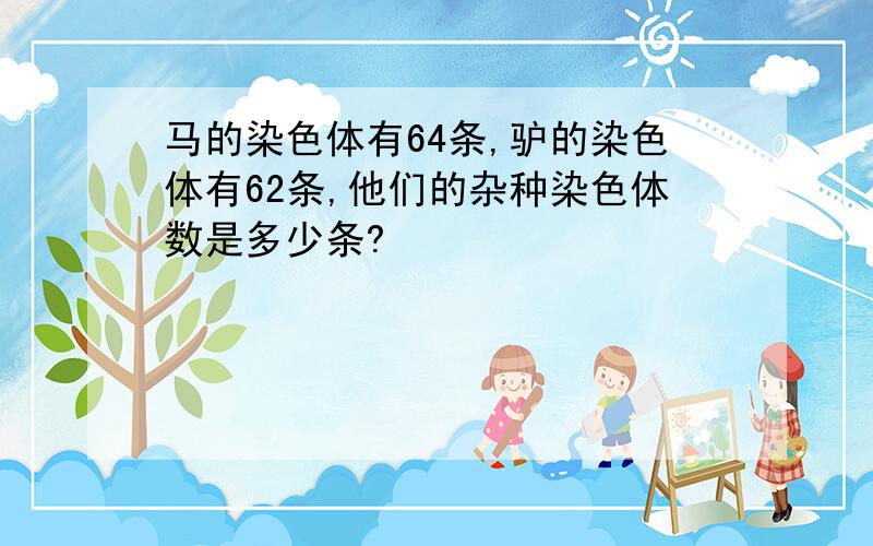 马的染色体有64条,驴的染色体有62条,他们的杂种染色体数是多少条?