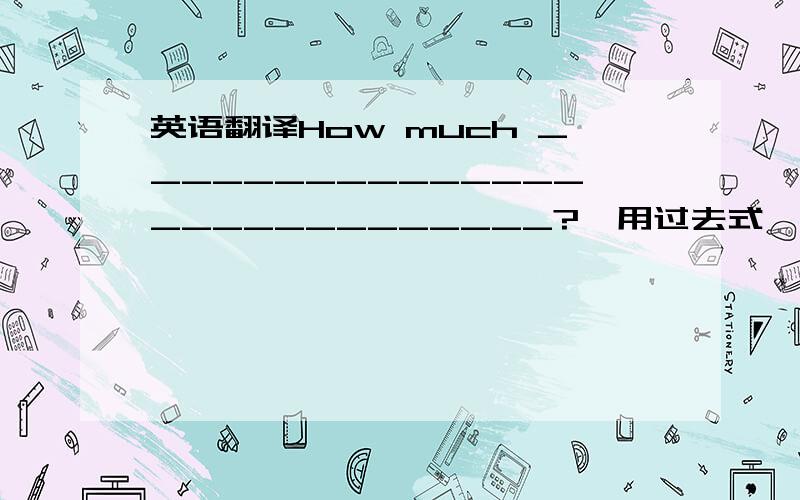 英语翻译How much ____________________________?【用过去式