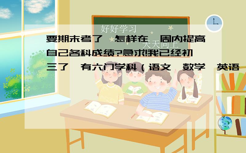 要期末考了,怎样在一周内提高自己各科成绩?急求!我已经初三了,有六门学科（语文,数学,英语,物理,化学,政治）