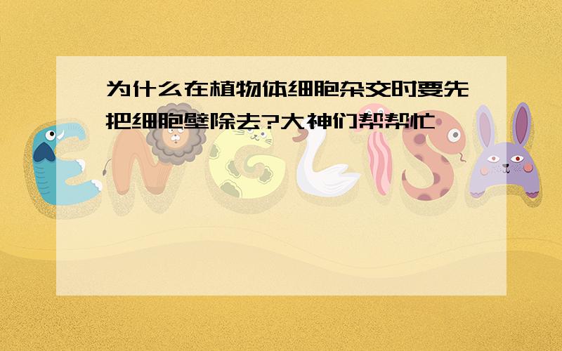 为什么在植物体细胞杂交时要先把细胞壁除去?大神们帮帮忙