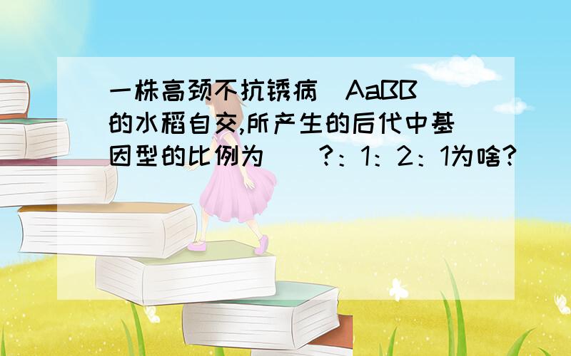 一株高颈不抗锈病（AaBB）的水稻自交,所产生的后代中基因型的比例为（）?：1：2：1为啥?