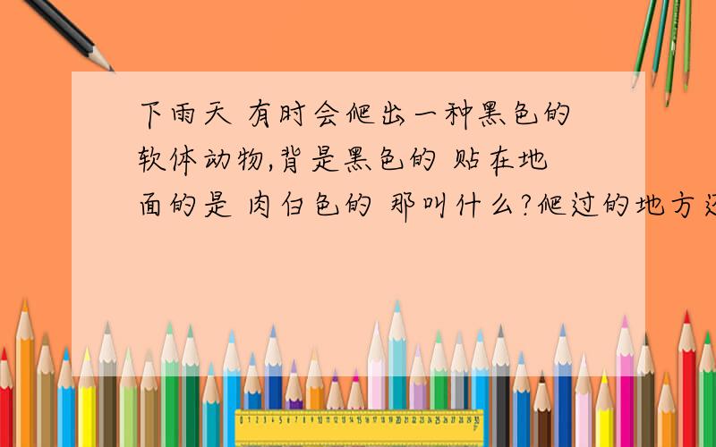 下雨天 有时会爬出一种黑色的软体动物,背是黑色的 贴在地面的是 肉白色的 那叫什么?爬过的地方还黏黏的 很恶心的……我指的不是鼻涕虫哦。鼻涕虫也是一种我知道，多见于蔬菜。我想知