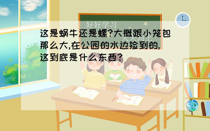 这是蜗牛还是螺?大概跟小笼包那么大,在公园的水边捡到的,这到底是什么东西?