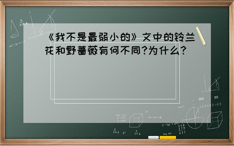 《我不是最弱小的》文中的铃兰花和野蔷薇有何不同?为什么?