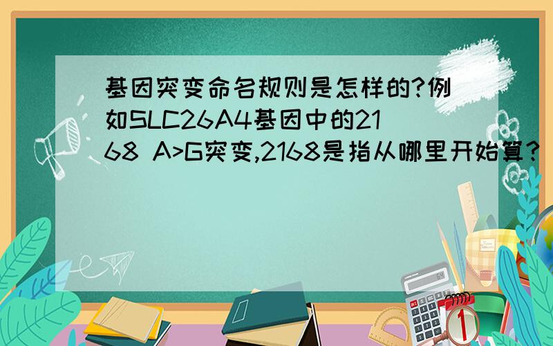 基因突变命名规则是怎样的?例如SLC26A4基因中的2168 A>G突变,2168是指从哪里开始算?