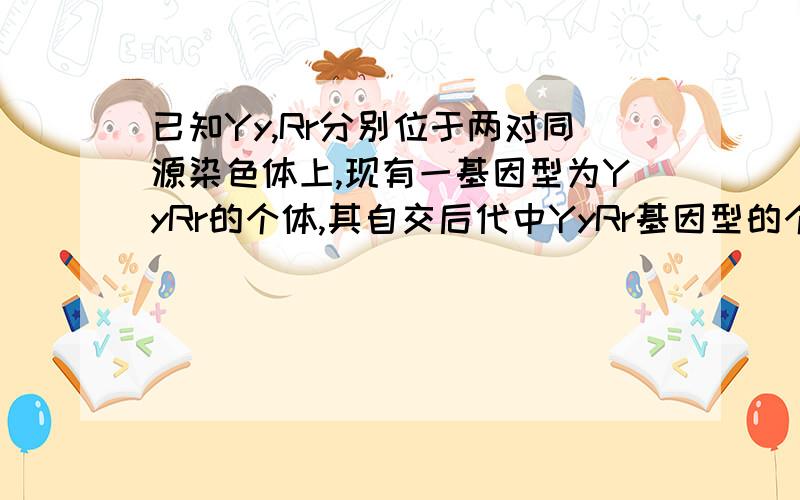 已知Yy,Rr分别位于两对同源染色体上,现有一基因型为YyRr的个体,其自交后代中YyRr基因型的个体占总数的比值是答案是1/4