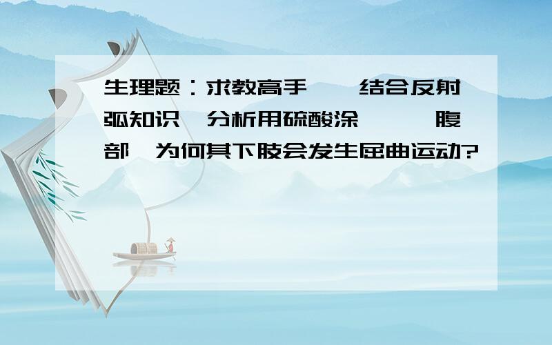 生理题：求教高手……结合反射弧知识,分析用硫酸涂搽蟾蜍腹部,为何其下肢会发生屈曲运动?