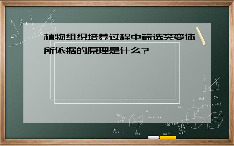 植物组织培养过程中筛选突变体所依据的原理是什么?