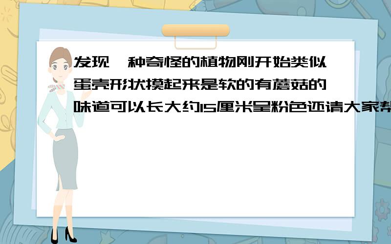 发现一种奇怪的植物刚开始类似蛋壳形状摸起来是软的有蘑菇的味道可以长大约15厘米呈粉色还请大家帮忙辨认