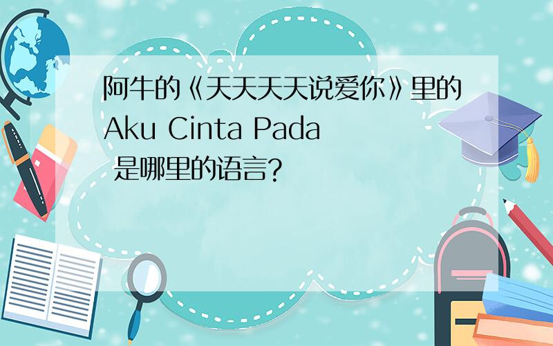 阿牛的《天天天天说爱你》里的Aku Cinta Pada 是哪里的语言?