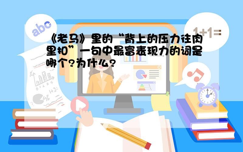 《老马》里的“背上的压力往肉里扣”一句中最富表现力的词是哪个?为什么?