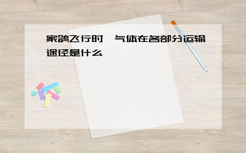 家鸽飞行时,气体在各部分运输途径是什么