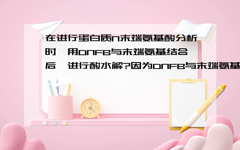 在进行蛋白质N末端氨基酸分析时,用DNFB与末端氨基结合后,进行酸水解?因为DNFB与末端氨基之间的键比肽键稳定,所以肽键解离了,而它没解离.我就问,假如这时候溶液中还有DNFB会不会还和解离