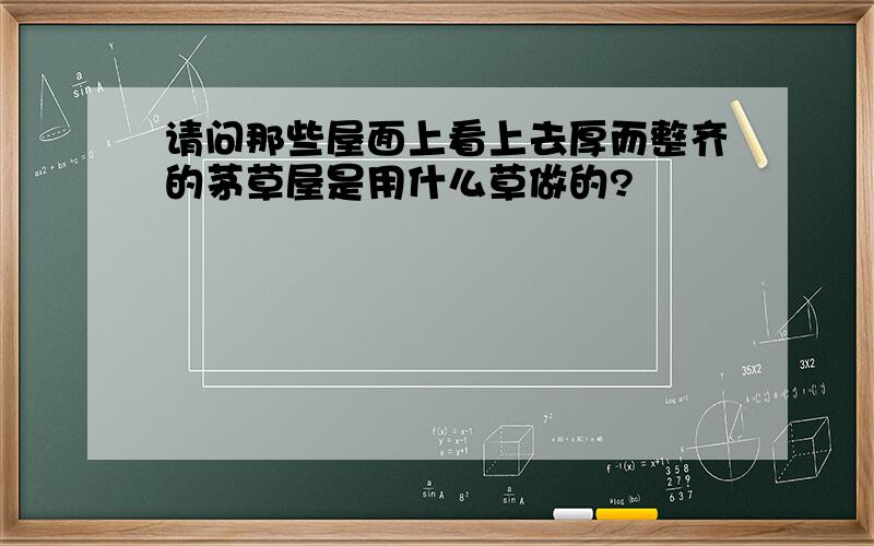 请问那些屋面上看上去厚而整齐的茅草屋是用什么草做的?