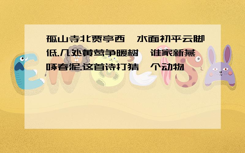 孤山寺北贾亭西,水面初平云脚低.几处黄莺争暖树,谁家新燕啄春泥.这首诗打猜一个动物